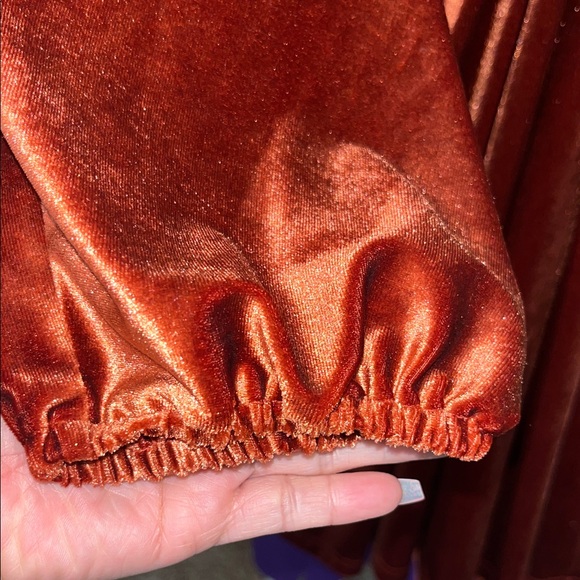 Shimmering Rust Velvet Dress - Picture 4 of 6